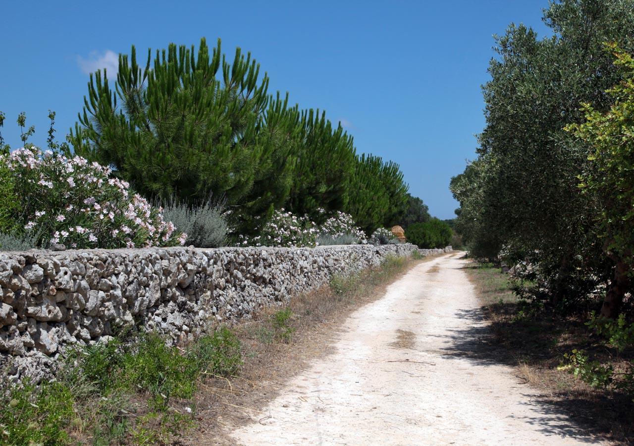 Novecento Room And Breakfast Puglia Massafra Kültér fotó